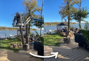 Before & after of removing a tree on cabing property by the lake