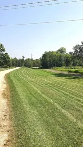 Mowed lawn Selkirk