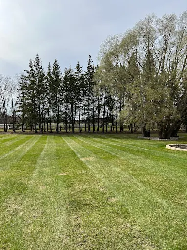 Lawn mowing services