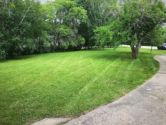 Freshly mowed lawn