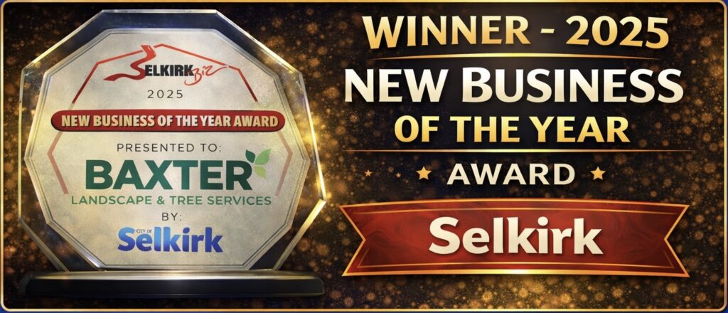 Winner of 2025 Business of the year award for Selkirk