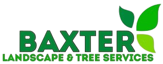 Baxter Landscape Logo edited removebg preview