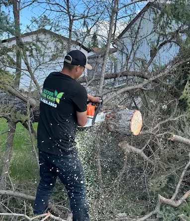 Baxter Landscape & Tree services employee using a chainsaw to cut tree in pieces.